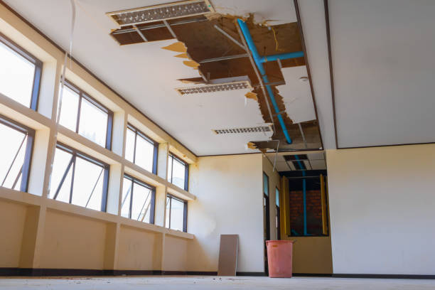 Best Water damage restoration company  in Taylor, MI