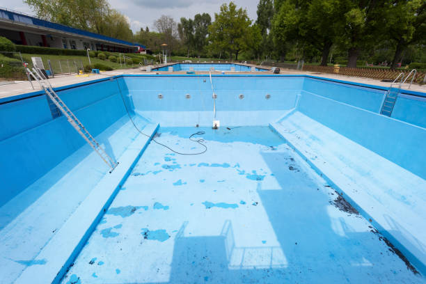 Best Flood damage cleanup  in Taylor, MI