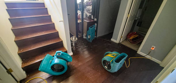  Taylor, MI Water damage restoration Pros