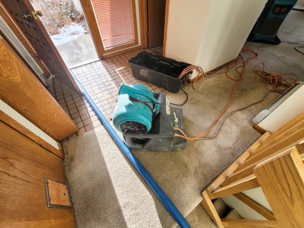 Best Ceiling water damage repair  in Taylor, MI