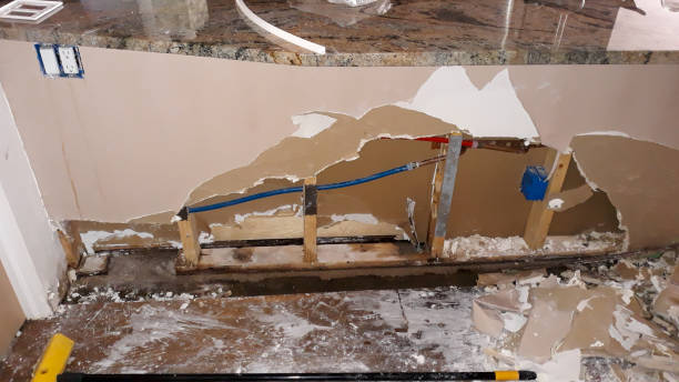 Best Carpet water damage restoration  in Taylor, MI