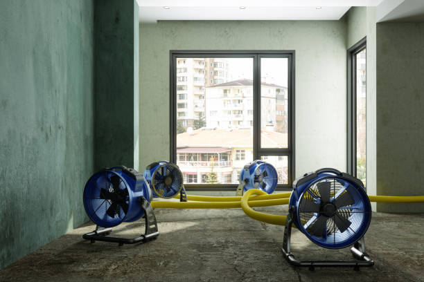 Best Sewage cleanup and water damage restoration  in Taylor, MI