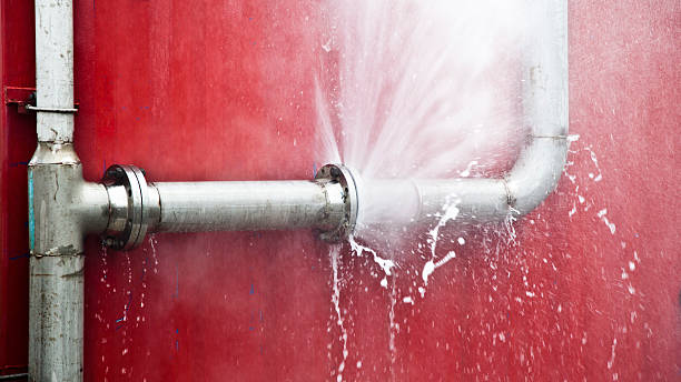 Best Basement water damage restoration  in Taylor, MI